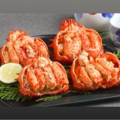  kC ԍ炪ɂ̍bi]ˉj Ⓚz