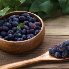  kC kCYⓀnXJbvi]ˉj Ⓚz