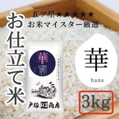  _ސ쌧 ܃că}CX^[@dĕā@؁@i͂ȁj3kgi˒ːXj