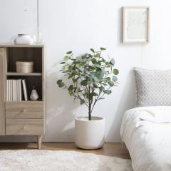 ���������[�J�[�ۏؕt�� ���[�J�� ����85cm ���G�}�l�H�ϗt�A�� ���L�E�R�ہE�h�� ���R�ȕ����� ���[�J�[���� ��������