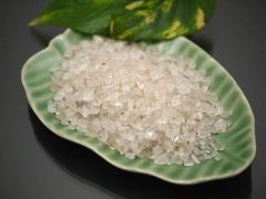 ���[�Y�N�H�[�c ������� ��100�� �V�R�� �|�X�g�����z���I���\�ł�