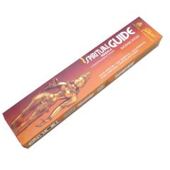 ���� �p�h�~�j �X�s���`���A���K�C�h�� �}�T���^�C�v PADMINI SPIRITUALGUIDE MASALA �C���Z���X �C���h�� �A�W�A���G�� �|�X�g�����z��