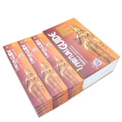 ���� �p�h�~�j �X�s���`���A���K�C�h�� �}�T���^�C�v PADMINI SPIRITUALGUIDE MASALA �C���Z���X �C���h�� �A�W�A���G��  12���Z�b�g �|