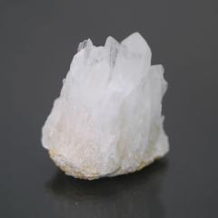 �`�x�b�g�Y�q�}���������N���X�^�[ 1�_��  cluster-53 ��33.8g   �V�R�΁E�u���� �|�X�g�����֕s��