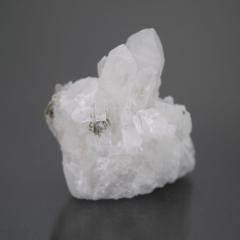 �`�x�b�g�Y�q�}���������N���X�^�[ 1�_��  cluster-158 ��41.5g  �V�R�΁E�u���� �|�X�g�����z���s��