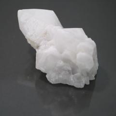 �`�x�b�g�Y�q�}���������N���X�^�[ 1�_��  cluster-28 ��322.2g   �V�R�΁E�u���� �|�X�g�����z���s��