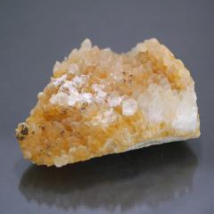 �V�g�����N���X�^�[�V�R�F 1�_��  ��422.5��   �V�R�΁E�u���� �|�X�g�����z���s��