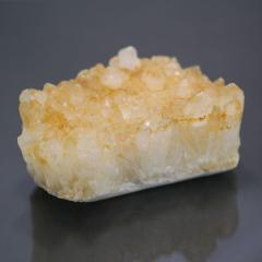 �V�g�����N���X�^�[�V�R�F 1�_��  ��468��   �V�R�΁E�u���� �|�X�g�����z���s��