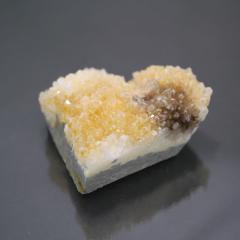 �V�g�����N���X�^�[�V�R�F 1�_��  ��222.5��   �V�R�΁E�u���� �|�X�g�����z���s��