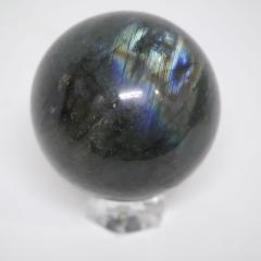 ��ʃ��u���h���C�g�ۋ� ��70.5mm ��492g  �V�R�΁E�u�� ����͕t�����܂��� 10006806
