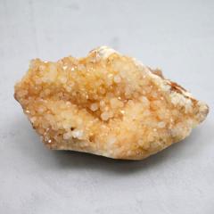 �V�g�����N���X�^�[�V�R�F 1�_��  cluster-CITR16 ��260��   �V�R�΁E�u���� �|�X�g�����z���s��