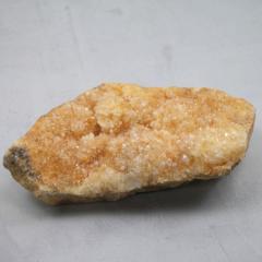 �V�g�����N���X�^�[�V�R�F 1�_��  cluster-CITR17 ��339��   �V�R�΁E�u���� �|�X�g�����z���s��