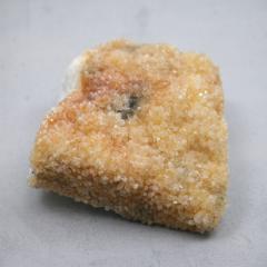 �V�g�����N���X�^�[�V�R�F 1�_�� cluster-CITR21 ��245��   �V�R�΁E�u���� �|�X�g�����z���s��