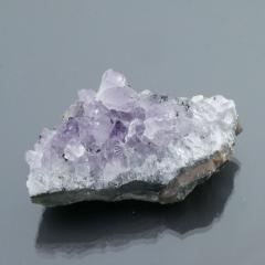 �u���W���Y�A���W�X�g�N���X�^�[ 1�_��  cluster-AMET15 ��47��   �V�R�΁E�u���� �|�X�g�����z���s��