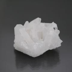 �`�x�b�g�Y�q�}���������N���X�^�[ 1�_��  cluster-48 ��33.3g  �V�R�΁E�u���� �|�X�g�����z���s��