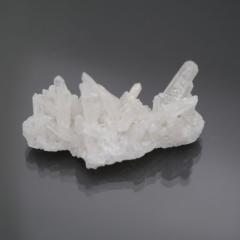 �`�x�b�g�Y�q�}���������N���X�^�[1�_��  cluster-97 ��18.5g  �V�R�΁E�u���� �|�X�g�����z���s��