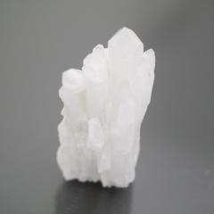 �`�x�b�g�Y�q�}���������N���X�^�[ 1�_��  cluster-249 ��38.2g   �V�R�΁E�u���� �|�X�g�����z���s��