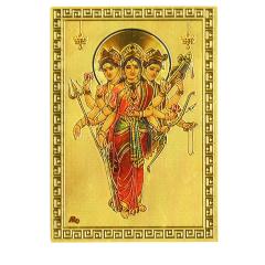 �q���Y�[�_�S�[���h�X�e�b�J�[�V���[�Y �_�b�^�g���[�� ����14 �G�X�j�b�N �A�W�A���G�� �|�X�g�����z���I���\�ł�