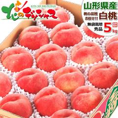 �y�\��z JA�V�� �R�`���Y ���� 5kg (���I/�G�i/12�ʁ`18�ʓ���/�①) ���� �͂��Ƃ� ���� �� �ăM�t�g ���������� �c�������� �h�V�̓� 