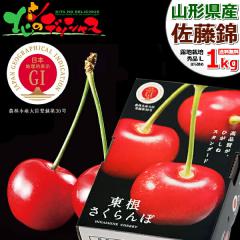 �y�\��z �R�`���Y GI ������������ ������ 1kg (�G�i/L�T�C�Y/�΂�l��/500g�~2p/���ϔ�����/�N�[���①) ���� �{ �T�N�����{ �M�t�g 