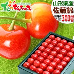 �R�`���Y �������� ������ 300g (���G�i/2L�T�C�Y/��l��/���ϔ�) 2026 �M�t�g ���蕨 ���� ���j�� ���� ���Ԃ� ���j�� �v���[���g ��