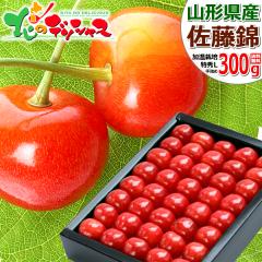 �R�`���Y �������� ������ 300g (���G�i/L�T�C�Y/��l��/���ϔ�) 2026 �M�t�g ���蕨 ���� ���j�� ���� ���Ԃ� ���j�� �v���[���g ����