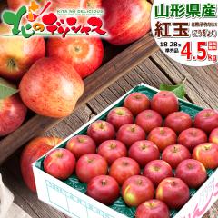 �y�\��z �R�`���Y ���ƒ�p ��� �g�� 4.5kg (���G�i/18�ʁ`28�ʓ���) �~�̖��o �������傭 �ׂɂ��� �ь� �����S �Y�n�����[ �킯��