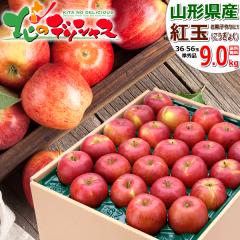 �y�\��z �R�`���Y ���ƒ�p ��� �g�� 9.0kg (���G�i/36�ʁ`56�ʓ���) �~�̖��o �������傭 �ׂɂ��� �ь� �����S �Y�n�����[ �킯��