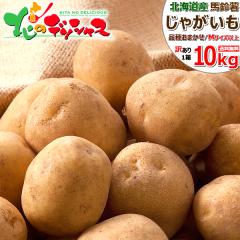 �y�o�ג��z �k�C���Y ���ƒ�p ���Ⴊ���� 10kg (JA����/�󂠂�/�i�킨�C���E�T�C�Y��M�T�C�Y�ȏ�/�퉷) �{ �H��� ��� �W���K�C�� �n��