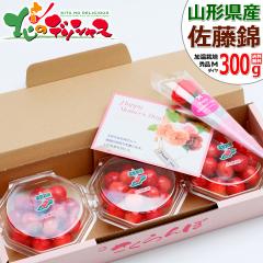 �y�o�ג��z ���� �R�`���Y �������� ������ 300g (�G�i/M�T�C�Y/100g�~3p/���ϔ�) 2026 ��̓��M�t�g �M�t�g ���蕨 ���j�� �v���[���g