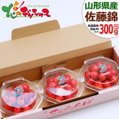 �R�`���Y �������� ������ 300g (�G�i/M�T�C�Y/100g�~3p/���ϔ�) 2026 �M�t�g ���蕨 ���� ���j�� ���� ���Ԃ� ���j�� �v���[���g ����