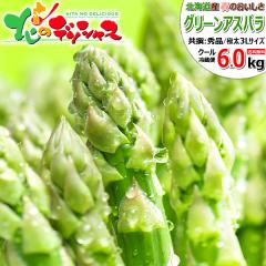 �y�\��z �k�C���Y �O���[���A�X�p�� 6kg (����/�G�i/���ɑ�/3L�T�C�Y/�①) �t�̖��o �k�C���A�X�p�� �����ς� �A�X�p�� �A�X�p���K�X 