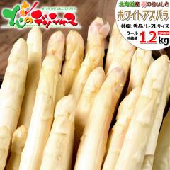 �y�\��z �k�C���Y �A�X�p���K�X �z���C�g�A�X�p�� 1.2kg (����/L-2L�T�C�Y/�①) �t�̖��o �k�C���A�X�p�� �A�X�p�� �A�X�p���K�X �z��