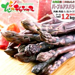 �y�\��z �k�C���Y �A�X�p���K�X �p�[�v���A�X�p�� 1.2kg (����/L-2L�T�C�Y/�①) �t�̖��o �k�C���A�X�p�� �A�X�p�� �A�X�p���K�X �p�[