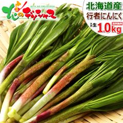 �y�\��z �k�C���Y �R�� �s�҂ɂ�ɂ� 1kg (1�� 50g/�H�p/�①) �t�̖��o ���̎R�� �� �i�� ���i���� ���傤����ɂ�ɂ� �M���E�W���j