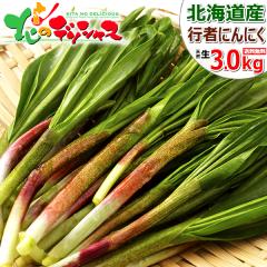 �y�\��z �k�C���Y �R�� �s�҂ɂ�ɂ� 3kg (1�� 50g/�H�p/�①) �t�̖��o ���̎R�� �� �i�� ���i���� ���傤����ɂ�ɂ� �M���E�W���j