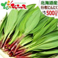 �y�\��/���͂����w��s�z �k�C���Y �R�� ���ƒ�p �s�҂ɂ�ɂ� 500g (�󂠂�/1�� 50g/�H�p/�①) �t�̖��o ���傤����ɂ�ɂ� �M���E