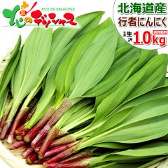 �y�\��/���͂����w��s�z �k�C���Y �R�� ���ƒ�p �s�҂ɂ�ɂ� 1kg (�󂠂�/1�� 50g/�H�p/�①) �t�̖��o ���傤����ɂ�ɂ� �M���E