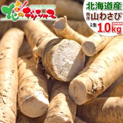 �y�o�ג��z �k�C���Y �R�킳�� 1kg (��/�퉷) �킳�� ���T�r �R�킳�� �R���T�r �R�� ���m�킳�� ���m���T�r �z�[�X���f�B�b�V�� ���킳