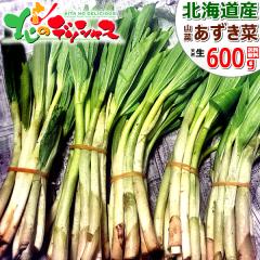 �y�\��/���͂����w��s�z �k�C���Y �R�� �A�Y�L�i 600g (1�� 50g/�H�p/�①) �t�̖��o �������� �������� �A�Y�L�� �a���� ���Ђ��� ��