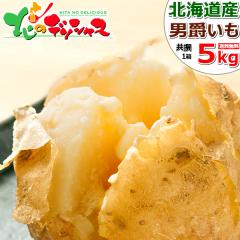 �y�o�ג��z �k�C���Y ���Ⴊ���� �j�ݏ� 5kg (JA����/M-LM�T�C�Y/�퉷) �{ �H��� ��� ���񂵂Ⴍ �j�݂��� �j�݃C�� �j�݈� �W���K�C��