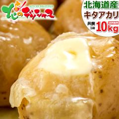 �y�o�ג��z �k�C���Y ���Ⴊ���� �L�^�A�J�� 10kg (JA����/M-LM�T�C�Y/�퉷) �{ �H��� ��� ���������� �k������ �k�A�J�� �W���K�C�� 