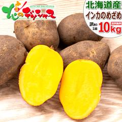 �y�\��z �k�C���Y �V���Ⴊ ���Ⴊ���� ���ƒ�p �C���J�̂߂��� 10kg (JA����/�󂠂�/�①)�H��� ��� �C���J �C���J�̖ڊo�� �W���K