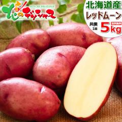 �y�o�ג��z �k�C���Y ���Ⴊ���� ���b�h���[�� 5kg (JA����/M-LM�T�C�Y/�퉷) �{ �H��� ��� �g���Ⴊ���� �g���[�N�B�� �W���K�C�� �n