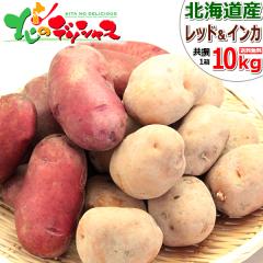 �y�\��z �k�C���Y �V���Ⴊ ���Ⴊ���� 10kg (JA����/M-LM�T�C�Y/�C���J�̂߂��� 5kg/���b�h���[�� 5kg/�①) �H��� ��� �C���J�̖ڊo