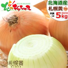 �y�\��z �k�C���Y �z�~ �ʂ˂� �D�y�� 5kg (JA����/SM-L�T�C�Y/�퉷) �� ���܂˂� �^�}�l�M �ʃl�M �ʔK �����ۂ낫 �z�~ ��� ����p