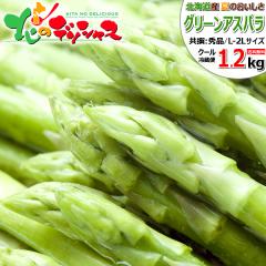 �y�\��z �k�C���Y �ăA�X�p�� �O���[���A�X�p�� 1.2kg (JA����/�ቷ�n�E�X�͔|/L-2L�T�C�Y) �A�X�p�� �΃A�X�p�� �O���[���A�X�p���K�X 