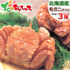 Jj kCY уKj 3 (p/500g~3/{CⓀ) CN  т уKj ъI Jj݂ {C ~Mtg Ε N Mtg 