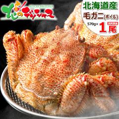 Jj  kCY уKj 1 (p/570g~1/{CⓀ) CN  т уKj ъI Jj݂ {C ~Mtg Ε N Mt