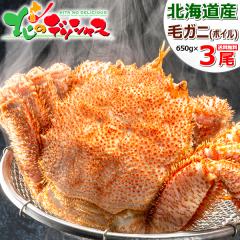 Jj  kCY уKj 3 (p/650g~3/{CⓀ) CN  т уKj ъI Jj݂ {C ~Mtg Ε N M